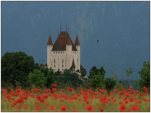 Als Mai-Foto im Kalender - Berner Oberland-Der Kalender 2013