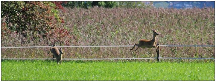 Leserbild TT und BZ 9. September 2014